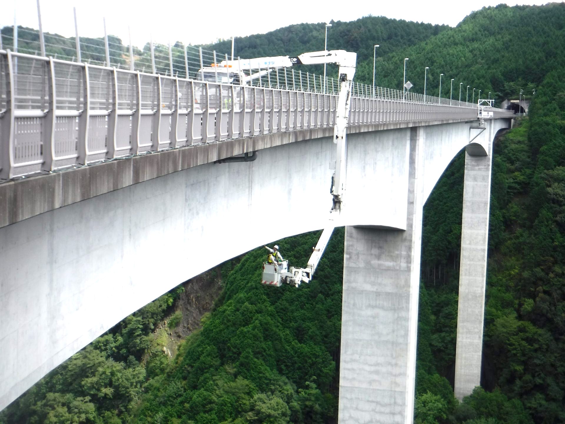 橋梁点検の業務風景